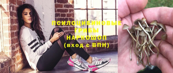 ГАЛЛЮЦИНОГЕННЫЕ ГРИБЫ Дмитровск