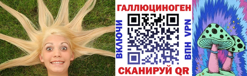 Псилоцибиновые грибы Cubensis  закладка  Белая Холуница 